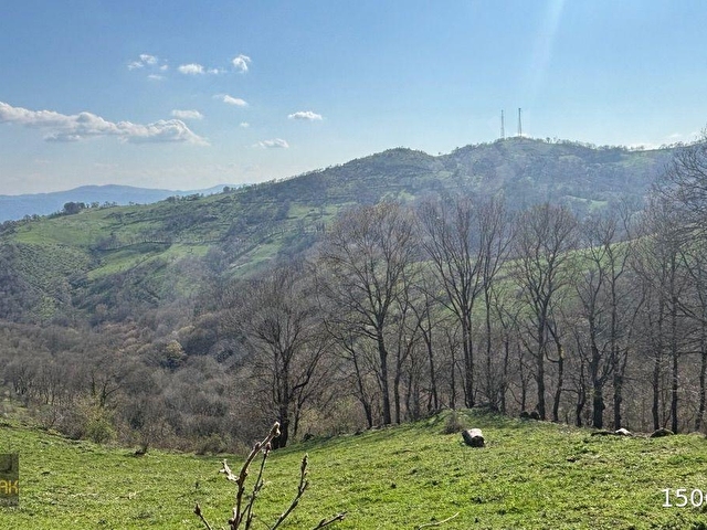 YILDIZ GAYRİMENKULDEN SEBEPLİ MAH. 6.500m² SATILIK TARLA - Görsel 5