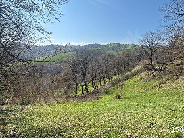 YILDIZ GAYRİMENKULDEN SEBEPLİ MAH. 6.500m² SATILIK TARLA - Görsel 8