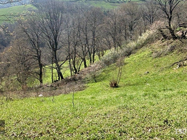 YILDIZ GAYRİMENKULDEN SEBEPLİ MAH. 6.500m² SATILIK TARLA - Görsel 2