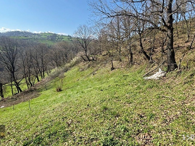 YILDIZ GAYRİMENKULDEN SEBEPLİ MAH. 6.500m² SATILIK TARLA - Görsel 15