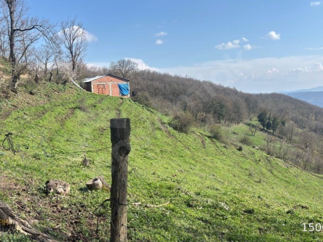 YILDIZ GAYRİMENKULDEN SEBEPLİ MAH. 6.500m² SATILIK TARLA - Görsel 19