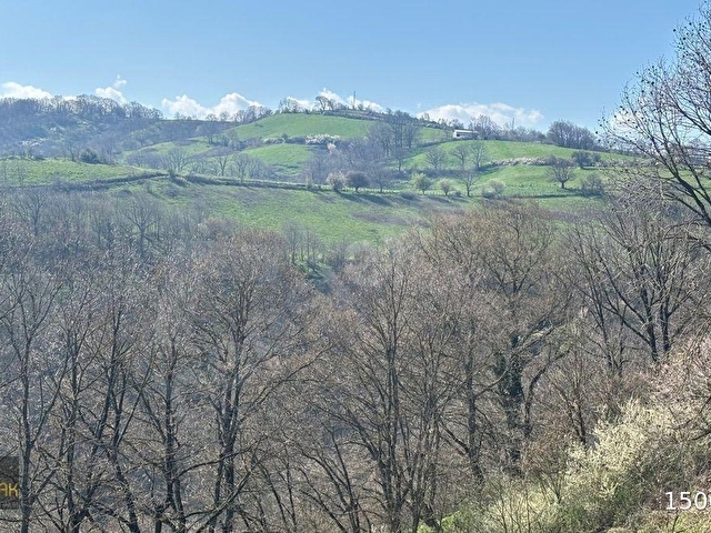YILDIZ GAYRİMENKULDEN SEBEPLİ MAH. 6.500m² SATILIK TARLA - Görsel 21