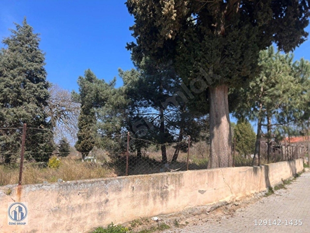 MÜSTAKİL TAPULU LAPSEKİ GÜRECİDE KÖY İÇİ İMARLI 274M2. ARSA - Görsel 15