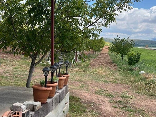 KAAN EMLAKTAN BURDUR YEŞİLOVADA SATILIK CEVİZLİK BAHÇE - Görsel 12
