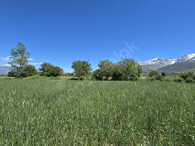 MABELDEN KONAKBAŞI KÖYÜNDE SATILIK 9.380,87 m2 SULU TARLA - Görsel 8