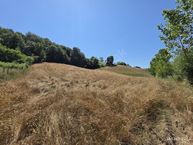 GÖRGEÇ EMLAKTAN SATILIK 18.730 M2 YOLA CEPHE TARLA - Görsel 20