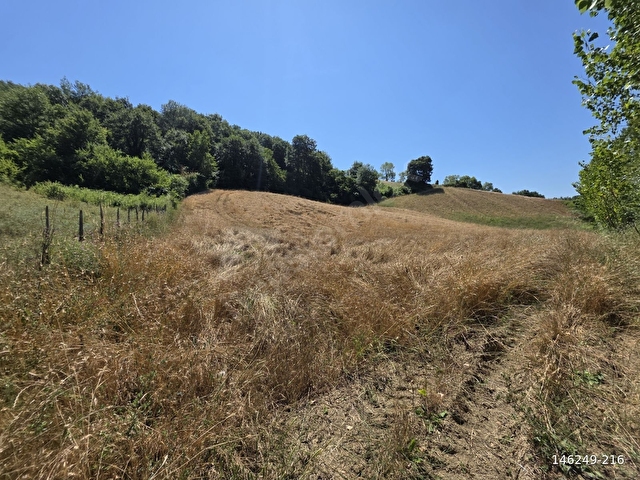 GÖRGEÇ EMLAKTAN SATILIK 18.730 M2 YOLA CEPHE TARLA - Görsel 15