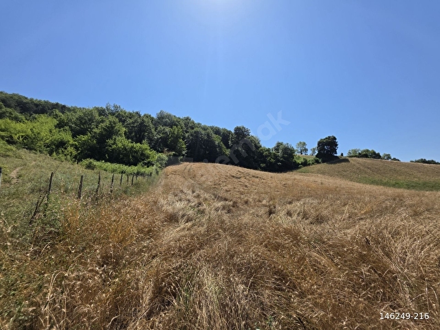 GÖRGEÇ EMLAKTAN SATILIK 18.730 M2 YOLA CEPHE TARLA - Görsel 21