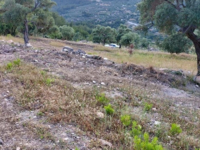 ELVAN ÖZÇELİKDEN ÖREN KALEMDE SATILIK ZEYTİNLİ TARLA - Görsel 4