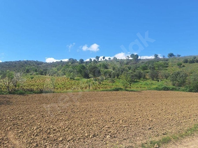 TEKİRDAĞ KUMBAĞDA SATILIK 3.481-M2 TARLA - Görsel 8