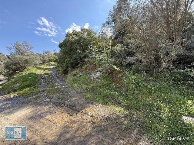 İzmir, S.Hisar Ulamışta,13.000 m², 400 Ağaçlı,35 mt Yol Cepheli - Görsel 4