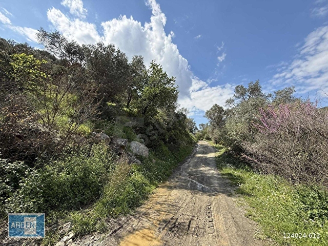 İzmir, S.Hisar Ulamışta,13.000 m², 400 Ağaçlı,35 mt Yol Cepheli - Görsel 6
