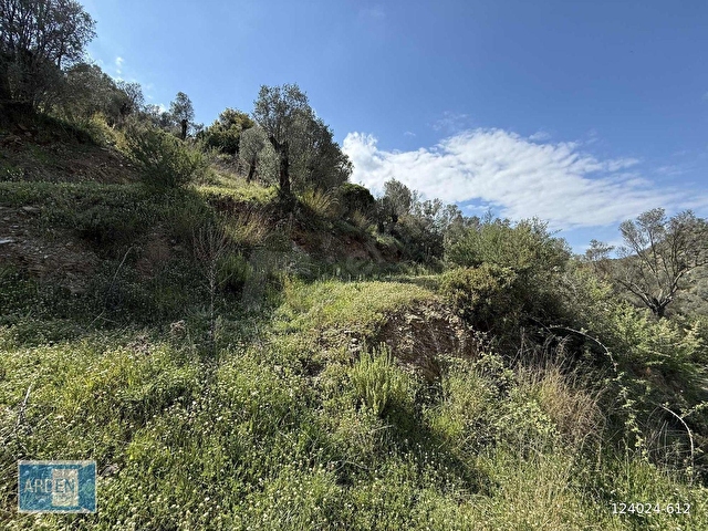 İzmir, S.Hisar Ulamışta,13.000 m², 400 Ağaçlı,35 mt Yol Cepheli - Görsel 10