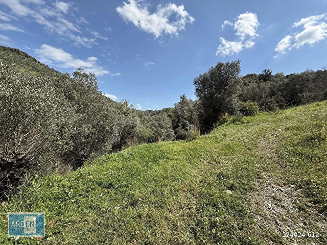 İzmir, S.Hisar Ulamışta,13.000 m², 400 Ağaçlı,35 mt Yol Cepheli - Görsel 13