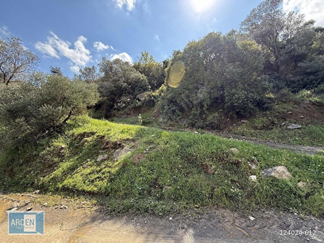 İzmir, S.Hisar Ulamışta,13.000 m², 400 Ağaçlı,35 mt Yol Cepheli