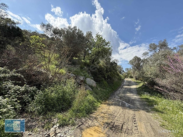 İzmir, S.Hisar Ulamışta,13.000 m², 400 Ağaçlı,35 mt Yol Cepheli - Görsel 7