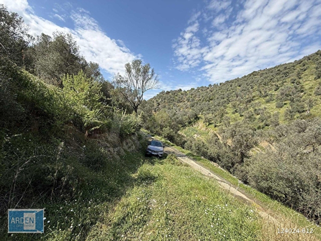 İzmir, S.Hisar Ulamışta,13.000 m², 400 Ağaçlı,35 mt Yol Cepheli - Görsel 14