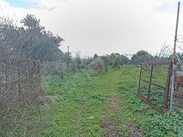 İZMİR TİRE TURAN MH. MÜSTAKİL EV VE ARAZİ - Görsel 13