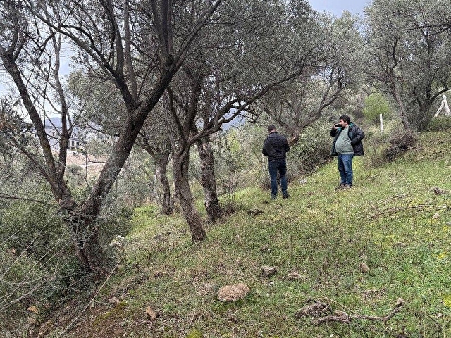 İZMİR BUCA KAYNAKLARDA SATILIK ZEYTİN AĞAÇLI BAHÇE - Görsel 4