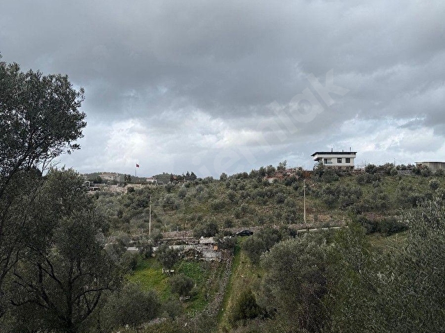 İZMİR BUCA KAYNAKLARDA SATILIK ZEYTİN AĞAÇLI BAHÇE - Görsel 9