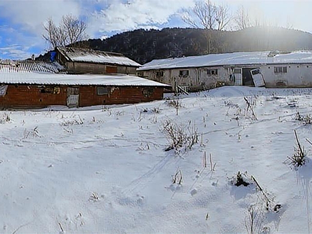 BOLU BALTALI KÖYÜNDE ARSA FİYATINA BÜYÜKBAŞ VE TAVUK ÇİFTLİĞİ - Görsel 26