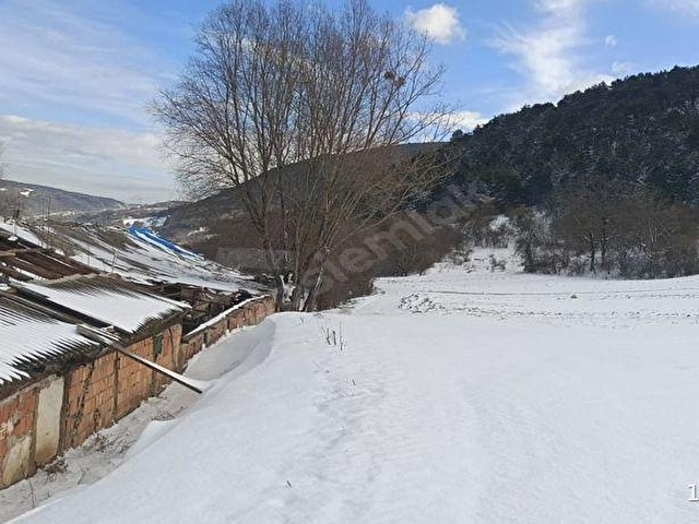 BOLU BALTALI KÖYÜNDE ARSA FİYATINA BÜYÜKBAŞ VE TAVUK ÇİFTLİĞİ - Görsel 28