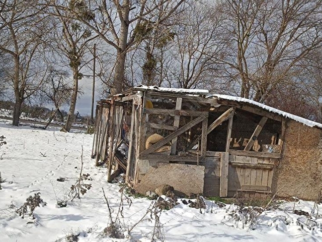 BOLU BALTALI KÖYÜNDE ARSA FİYATINA BÜYÜKBAŞ VE TAVUK ÇİFTLİĞİ - Görsel 30
