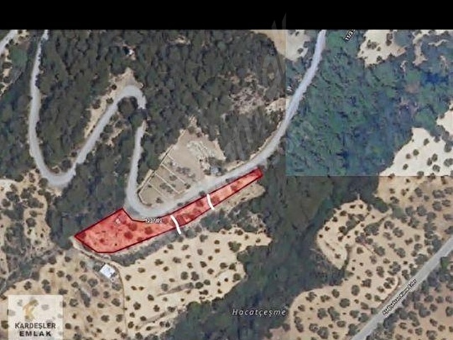 AŞAĞIŞAKRAN KOYUNDEREDE 439,78 M² SATILIK ZEYTİNLİK
