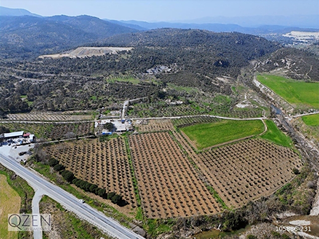 QZEN DEN GÜMÜLDÜR YOLUNA CEPHELİ 28240 M2 ZEYTİNLİ TARLA - Görsel 20