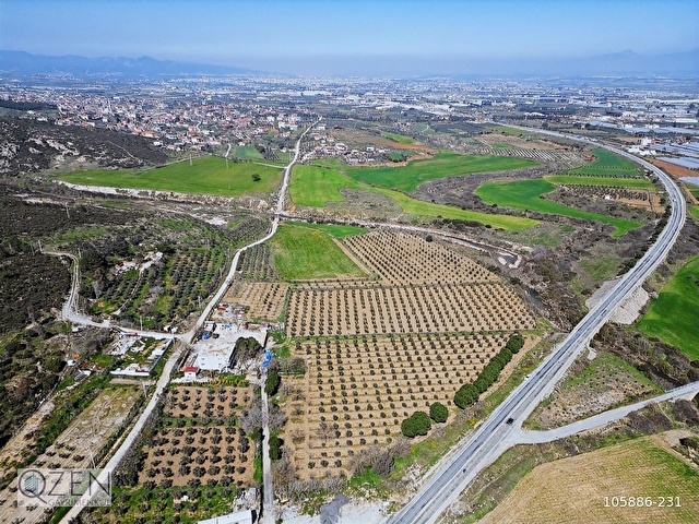 QZEN DEN GÜMÜLDÜR YOLUNA CEPHELİ 28240 M2 ZEYTİNLİ TARLA - Görsel 13