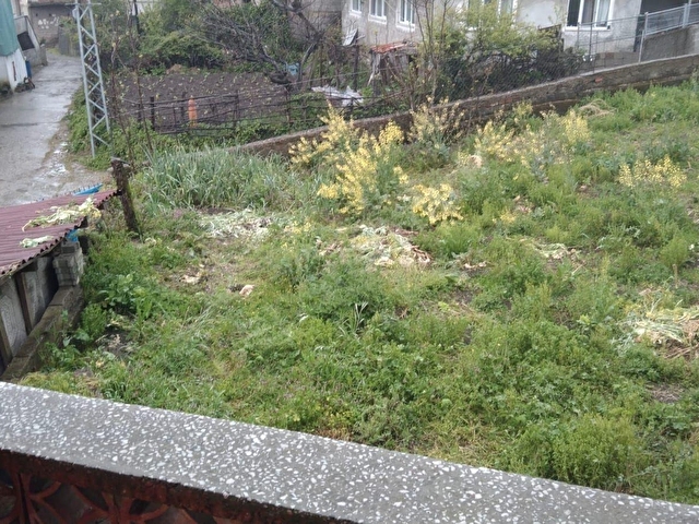 UYGUN FİYATLI KÖY EVİ VE BAHÇESİ - Görsel 11