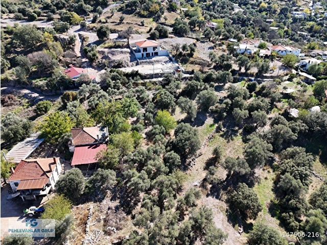 Milas Hasanlar’da 2.266 m² 2 Katlı Kargir Ev + Tarla (Yatırıma Uygun, Bölünebilir) - Görsel 16