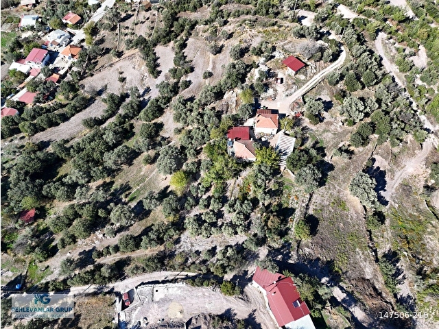 Milas Hasanlar’da 2.266 m² 2 Katlı Kargir Ev + Tarla (Yatırıma Uygun, Bölünebilir) - Görsel 21