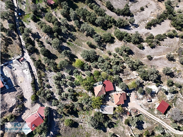 Milas Hasanlar’da 2.266 m² 2 Katlı Kargir Ev + Tarla (Yatırıma Uygun, Bölünebilir) - Görsel 22