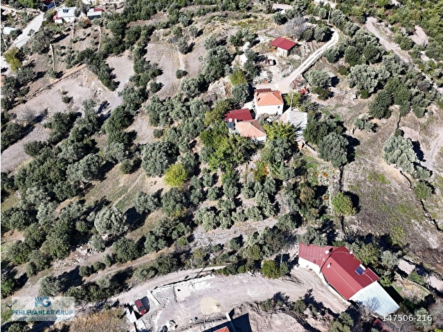 Milas Hasanlar’da 2.266 m² 2 Katlı Kargir Ev + Tarla (Yatırıma Uygun, Bölünebilir) - Görsel 20
