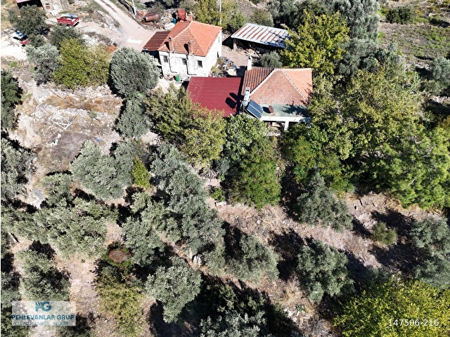 Milas Hasanlar’da 2.266 m² 2 Katlı Kargir Ev + Tarla (Yatırıma Uygun, Bölünebilir) - Görsel 13