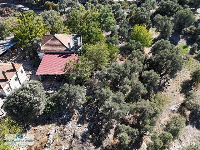 Milas Hasanlar’da 2.266 m² 2 Katlı Kargir Ev + Tarla (Yatırıma Uygun, Bölünebilir) - Görsel 14