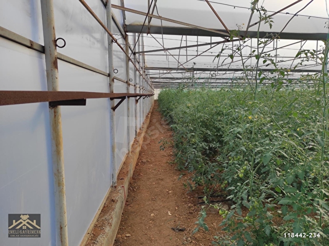 Kursunlu Da Satilik Sera 8350 M2 118442 234 Hurriyet Emlak