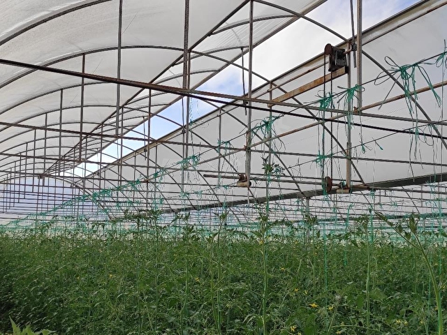 Kursunlu Da Satilik Sera 8350 M2 118442 234 Hurriyet Emlak