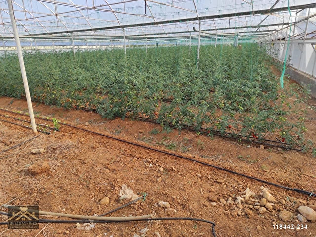Kursunlu Da Satilik Sera 8350 M2 118442 234 Hurriyet Emlak