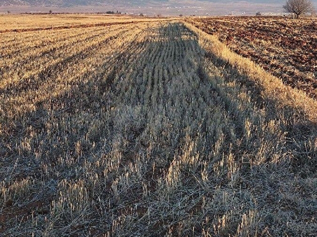 ELMALI ANTALYA YOLUNA 300 MT MESAFEDE TARLA - Görsel 4