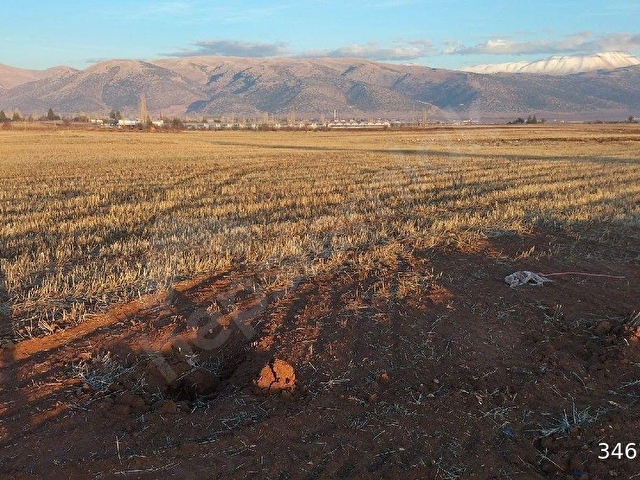 ELMALI ANTALYA YOLUNA 300 MT MESAFEDE TARLA - Görsel 7