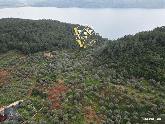 FADILCA MAH. SATILIK KARGİR EVİ OLAN TARLA VE ZEYTİNLİK 2.546 M2 - Görsel 2