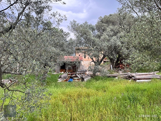 FADILCA MAH. SATILIK KARGİR EVİ OLAN TARLA VE ZEYTİNLİK 2.546 M2 - Görsel 9