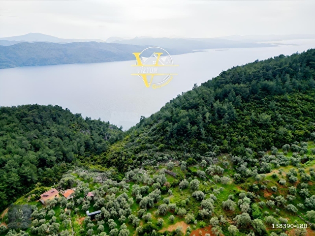 FADILCA MAH. SATILIK KARGİR EVİ OLAN TARLA VE ZEYTİNLİK 2.546 M2
