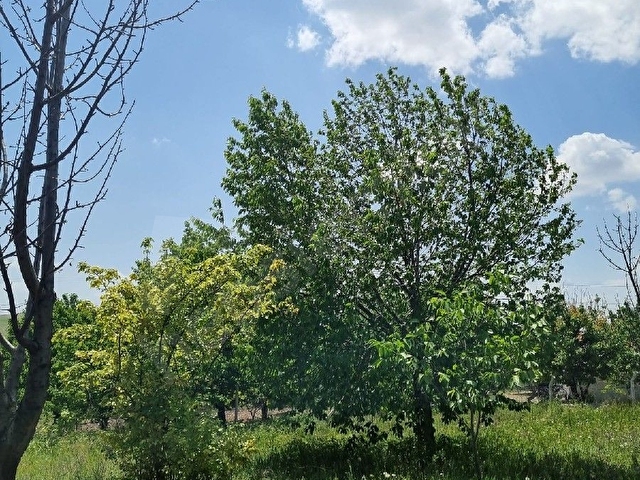 Kaçırılmayacak Fırsat! Sanayiye Yakın, Altyapısı Hazır 6.214 m² Tarla