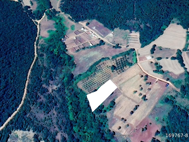 Kestel Ümitalanda Satılık 2.462 m² Yatırımlık Tarla - Görsel 3