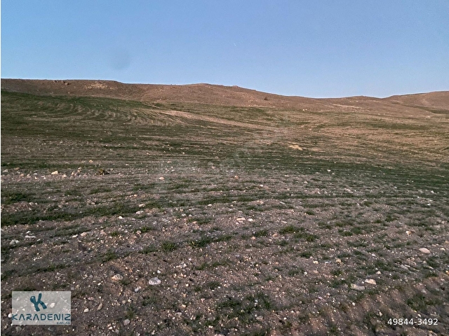 GÖLBAŞI SELAMETLİ DE TEK TAPU 21.730 M2 TARLA KARADENİZ EMLAKTAN - Görsel 21