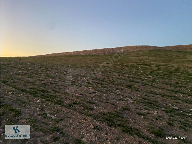GÖLBAŞI SELAMETLİ DE TEK TAPU 21.730 M2 TARLA KARADENİZ EMLAKTAN - Görsel 14
