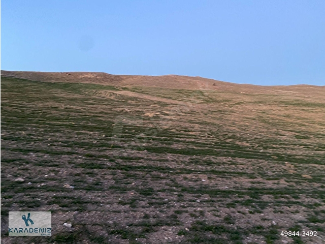 GÖLBAŞI SELAMETLİ DE TEK TAPU 21.730 M2 TARLA KARADENİZ EMLAKTAN - Görsel 15